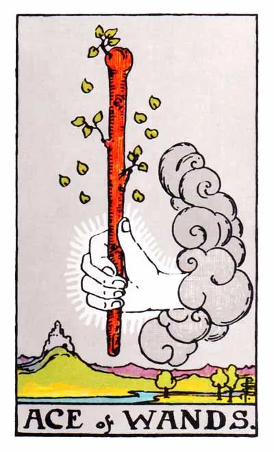 Tarot Card