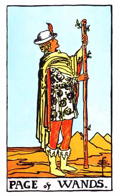 Tarot Card